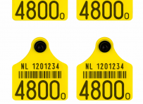 12 cijferige rundermerken, allflex groot groot